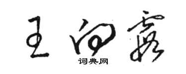 駱恆光王向霞草書個性簽名怎么寫