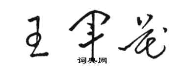 駱恆光王軍花草書個性簽名怎么寫