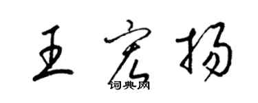 梁錦英王宏揚草書個性簽名怎么寫
