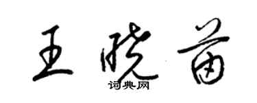 梁錦英王曉苗草書個性簽名怎么寫