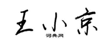 王正良王小京行書個性簽名怎么寫