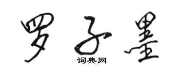 駱恆光羅子墨行書個性簽名怎么寫