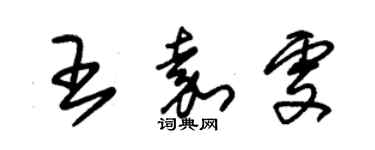 朱錫榮王嘉雯草書個性簽名怎么寫