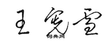 駱恆光王憲雪草書個性簽名怎么寫