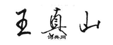 駱恆光王真山行書個性簽名怎么寫