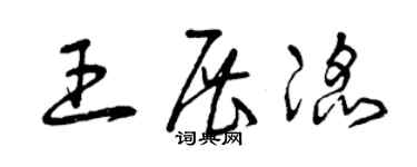 曾慶福王展滔草書個性簽名怎么寫