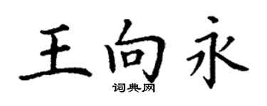 丁謙王向永楷書個性簽名怎么寫