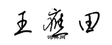 梁錦英王應田草書個性簽名怎么寫