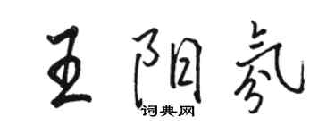 駱恆光王陽氛行書個性簽名怎么寫