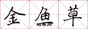 侯登峰金魚草楷書怎么寫