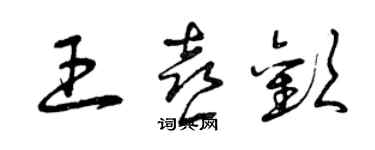 曾慶福王喜歡草書個性簽名怎么寫