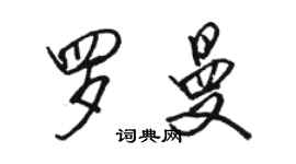 駱恆光羅曼行書個性簽名怎么寫