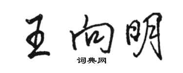駱恆光王向明行書個性簽名怎么寫
