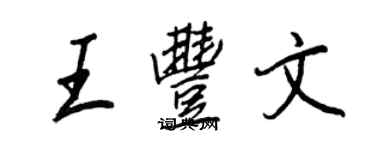 王正良王豐文行書個性簽名怎么寫
