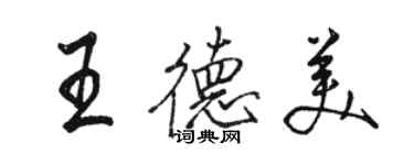 駱恆光王德美行書個性簽名怎么寫