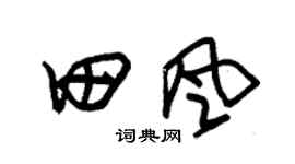 朱錫榮田風草書個性簽名怎么寫