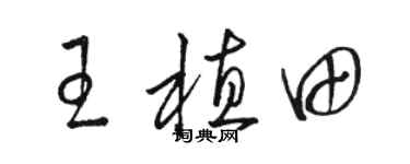 駱恆光王植田草書個性簽名怎么寫