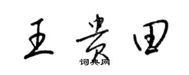 梁錦英王貴田草書個性簽名怎么寫