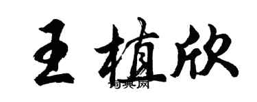 胡問遂王植欣行書個性簽名怎么寫