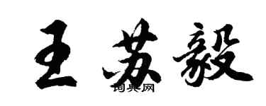 胡問遂王蘇毅行書個性簽名怎么寫