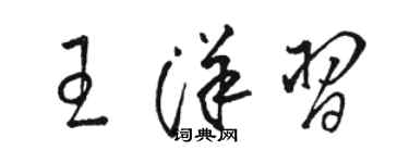 駱恆光王洋習草書個性簽名怎么寫