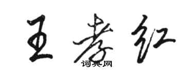 駱恆光王孝紅行書個性簽名怎么寫