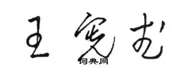 駱恆光王憲武草書個性簽名怎么寫