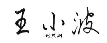 駱恆光王小波行書個性簽名怎么寫
