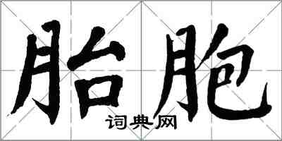 翁闓運胎胞楷書怎么寫