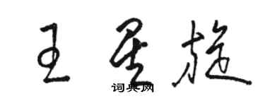 駱恆光王星旋草書個性簽名怎么寫