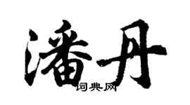 胡問遂潘丹行書個性簽名怎么寫