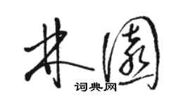 駱恆光林園草書個性簽名怎么寫