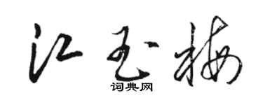 駱恆光江玉梅草書個性簽名怎么寫