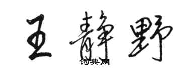 駱恆光王靜野行書個性簽名怎么寫