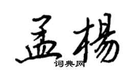 王正良孟楊行書個性簽名怎么寫