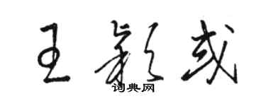 駱恆光王穎或草書個性簽名怎么寫