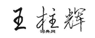 駱恆光王柱輝行書個性簽名怎么寫