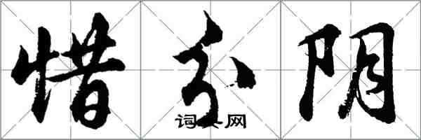 胡問遂惜分陰行書怎么寫