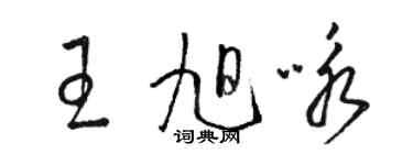 駱恆光王旭詠草書個性簽名怎么寫