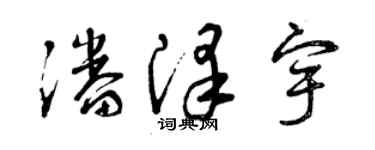 曾慶福潘澤宇草書個性簽名怎么寫