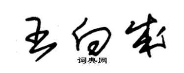 朱錫榮王向成草書個性簽名怎么寫