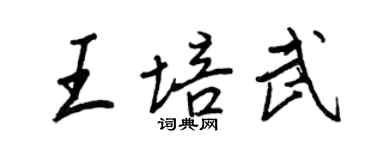 王正良王培武行書個性簽名怎么寫