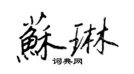 王正良蘇琳行書個性簽名怎么寫