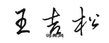 駱恆光王吉松行書個性簽名怎么寫