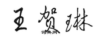 駱恆光王賀琳行書個性簽名怎么寫