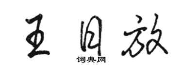 駱恆光王日放行書個性簽名怎么寫