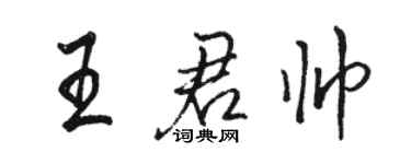 駱恆光王君帥行書個性簽名怎么寫