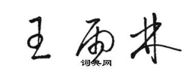 駱恆光王雨林草書個性簽名怎么寫