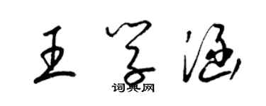 梁錦英王學涵草書個性簽名怎么寫