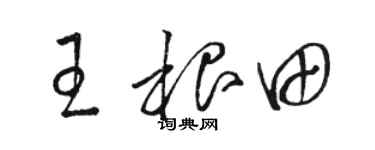 駱恆光王根田草書個性簽名怎么寫